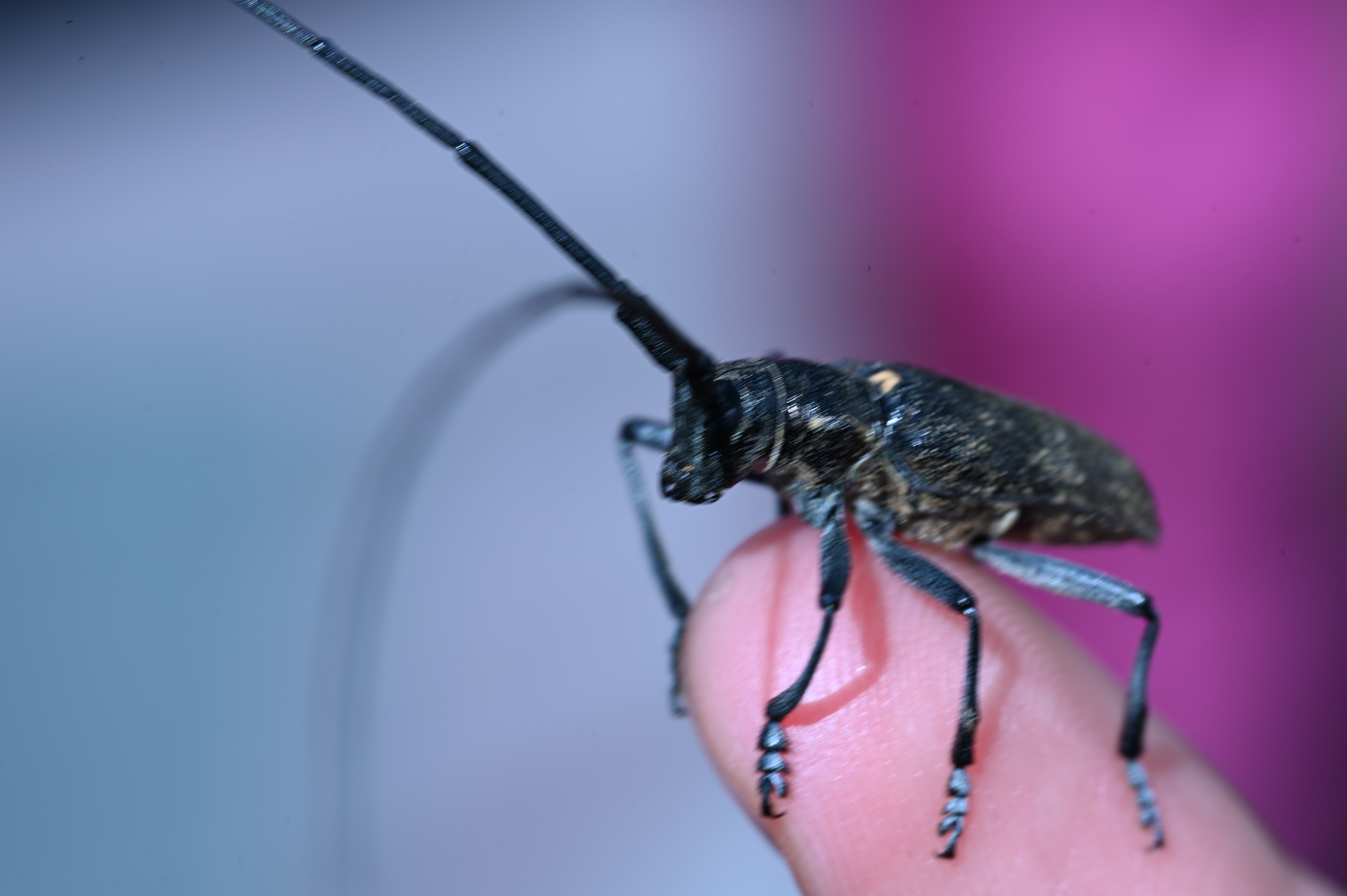 2025/07/09-14 - trip/DSC_0131.JPG